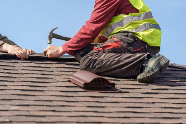 Best Roof Leak Repair  in Woodland Park, NE