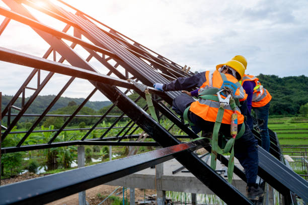 Best Metal Roofing Contractor  in Woodland Park, NE