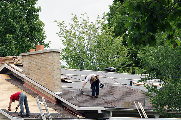 Best Gutter Installation and Roofing  in Woodland Park, NE