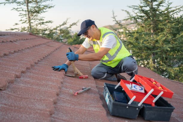 Best Emergency Roof Repair  in Woodland Park, NE