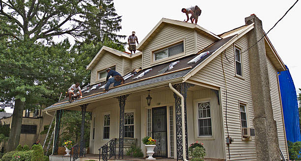 Best Local Roofing Companies  in Woodland Park, NE