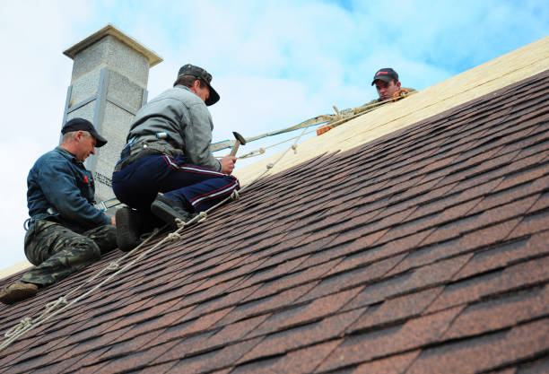 Best Roofing Contractors for Homes  in Woodland Park, NE