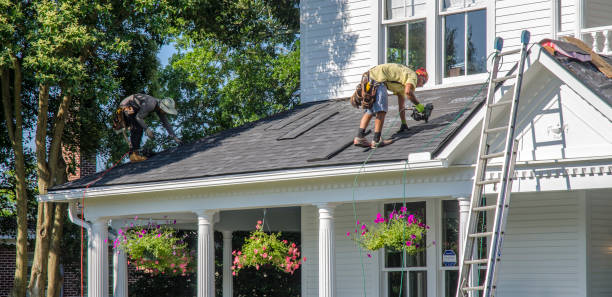 Best Local Roofing Companies  in Woodland Park, NE