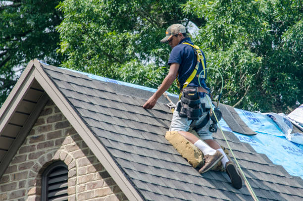 Best Shingle Roofing Installation  in Woodland Park, NE